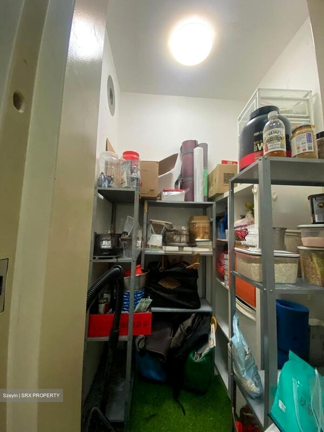 Silverscape (D14), Apartment #501680751